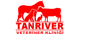Ali Hikmet TANRIVER,